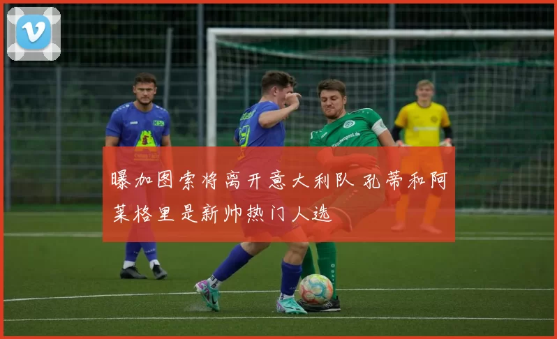 曝加图索将离开意大利队 孔蒂和阿莱格里是新帅热门人选