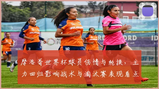 摩洛哥世界杯球员伤情与轮换，主力回归影响战术与淘汰赛表现看点