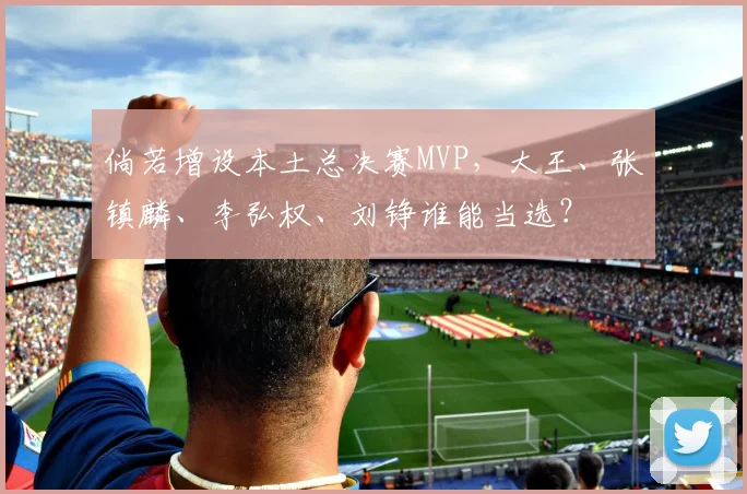 倘若增设本土总决赛MVP，大王、张镇麟、李弘权、刘铮谁能当选？