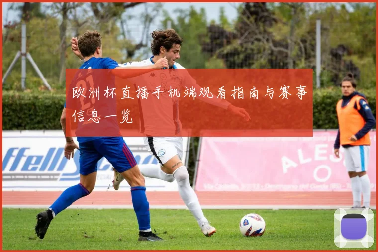欧洲杯直播手机端观看指南与赛事信息一览