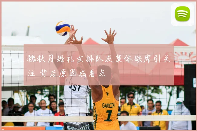 魏秋月婚礼女排队友集体缺席引关注 背后原因成看点
